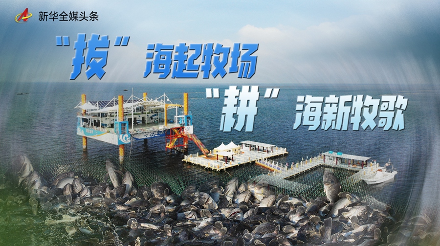 “拔”海起牧场 “耕”海新牧歌-新华网