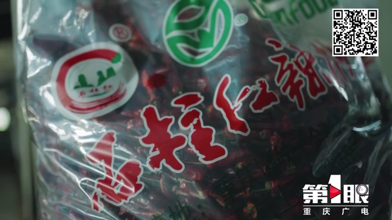 种红辣椒有什么技术_红辣椒的种植技术_红辣椒高产栽培技术