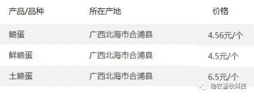鹅养殖技术视频教程_养鹅视频大全技术_致富经种鹅养殖技术视频