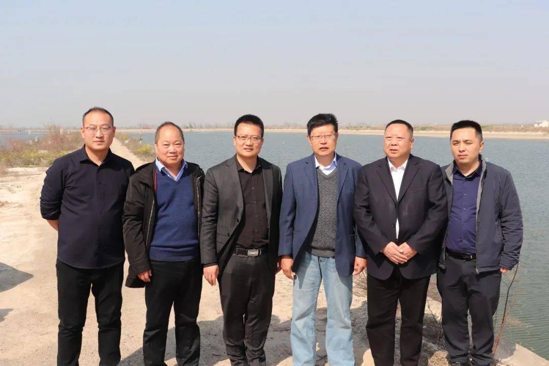如何高效养花鲢鱼_怎样养殖花鲢鱼_主养花鲢养殖技术