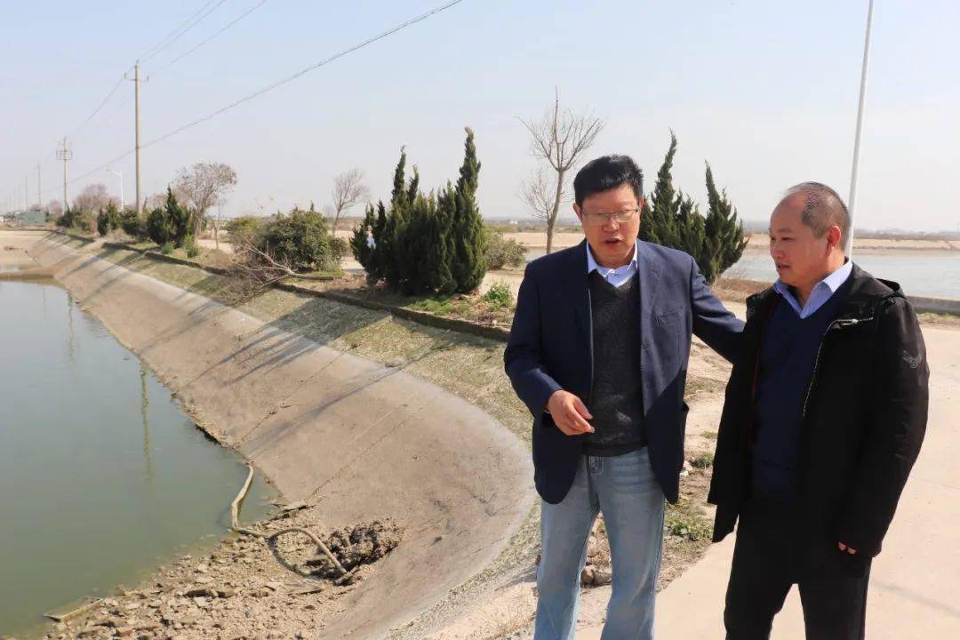 如何高效养花鲢鱼_怎样养殖花鲢鱼_主养花鲢养殖技术