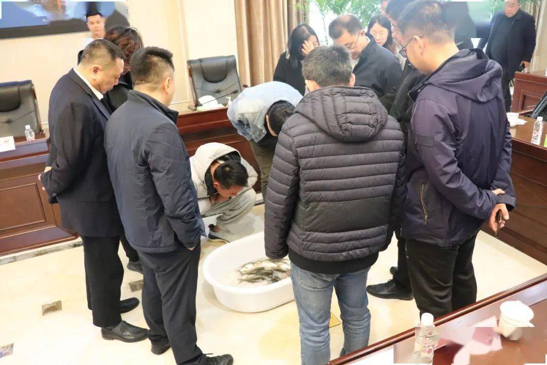 如何高效养花鲢鱼_怎样养殖花鲢鱼_主养花鲢养殖技术