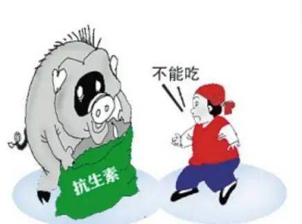 创新养殖模式_生态养殖成功案例_生态养殖技术创新大会