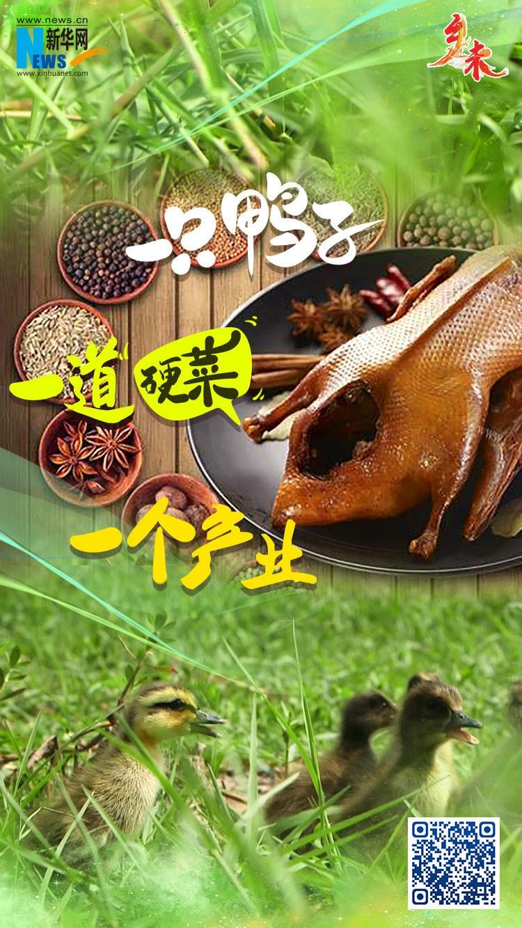 乡味｜重庆梁平：一只鸭子 一道“硬菜” 一个产业