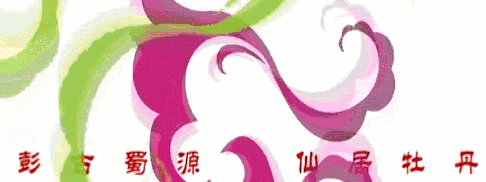 一株兰草改变一个村，全国兰草价格彭州说了算？