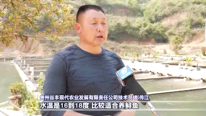 绵阳致富村养殖_绵阳养殖户_绵阳养殖业