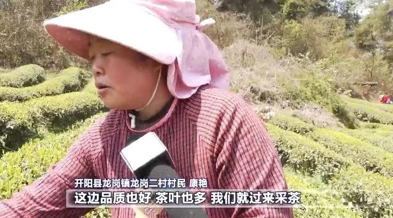 绵阳致富村养殖_绵阳养殖户_绵阳养殖业