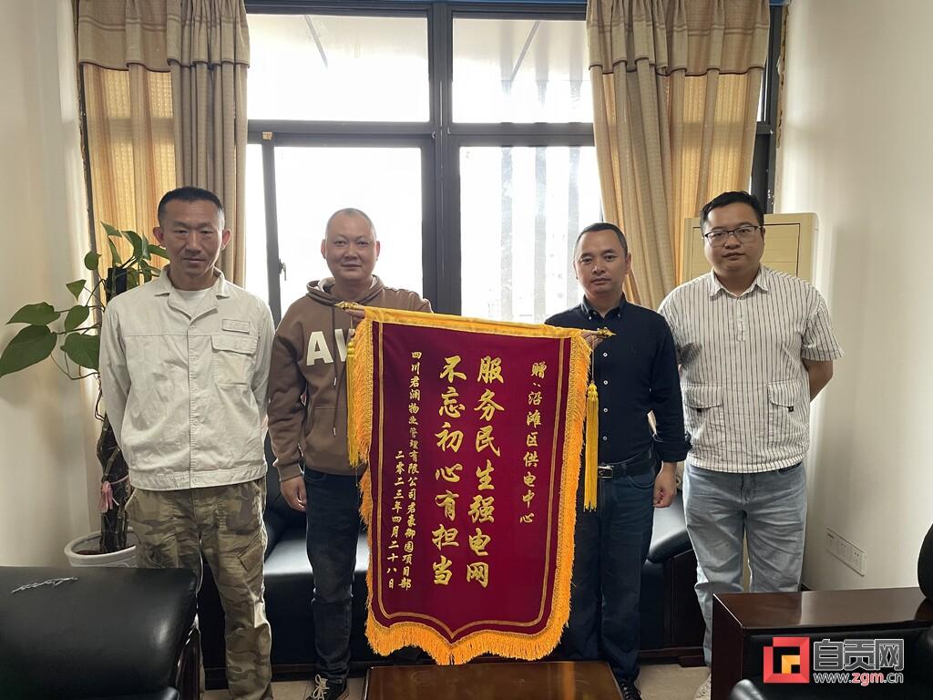 典型电力优质经验服务方案_电力优质服务典型案例_电力优质服务典型经验