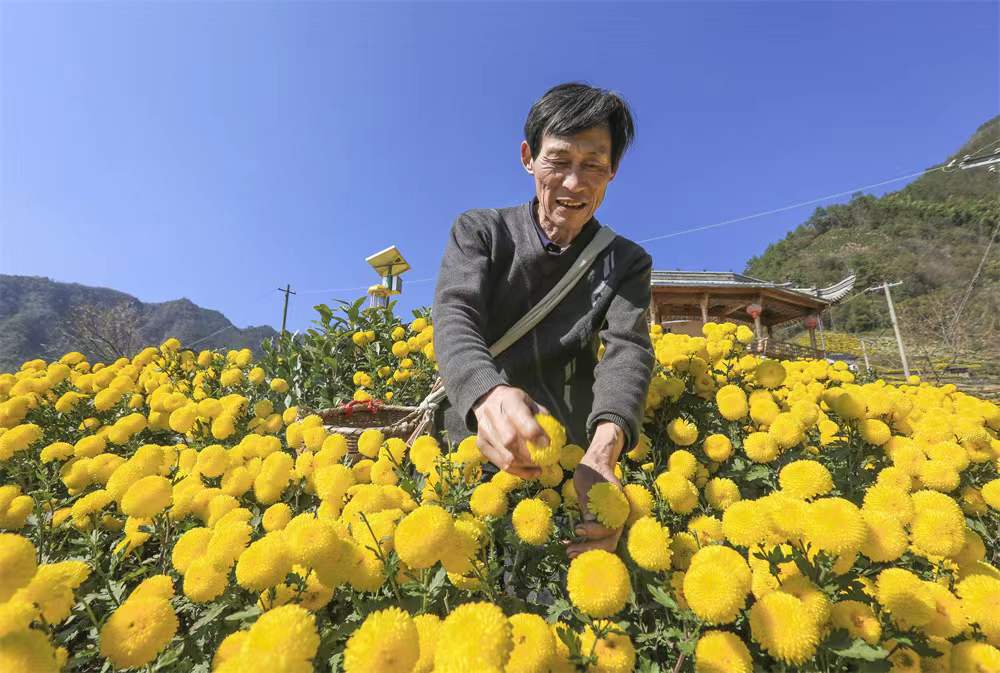 歙县富裕吗_致富经歙县_安徽黄山歙县首富