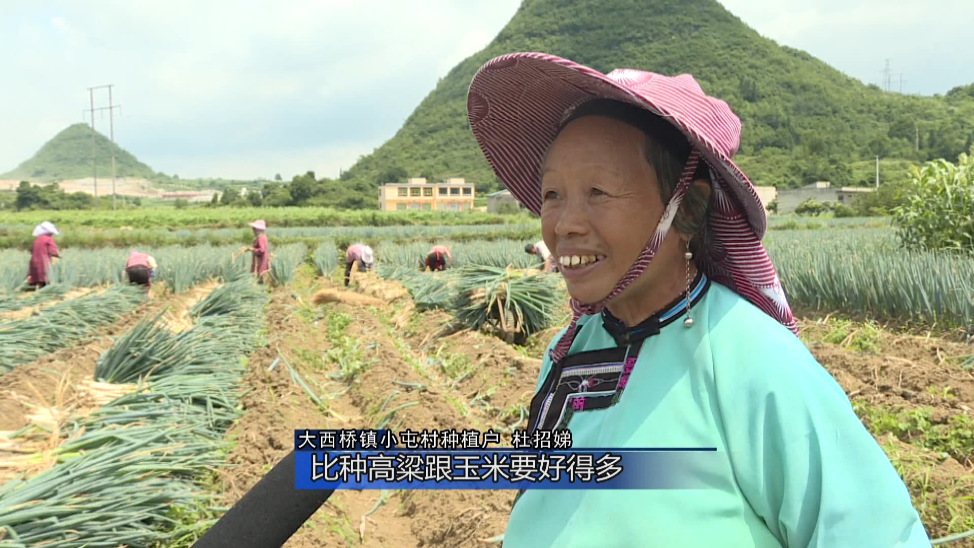 致富经张美骗局_致富经套路_致富经骗国家补贴