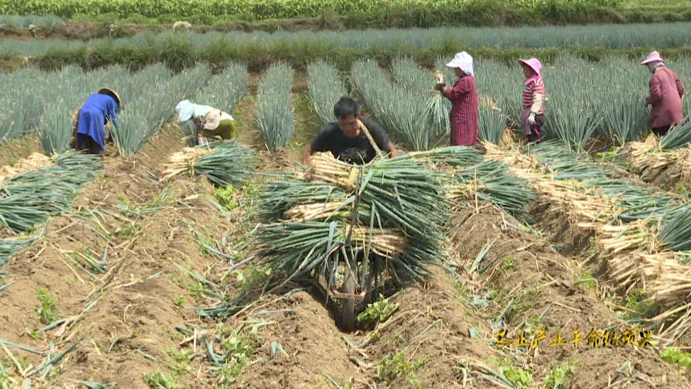致富经套路_致富经骗国家补贴_致富经张美骗局