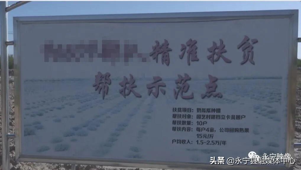 瓜果种植技术_瓜瓜种植致富果_瓜果种植图片