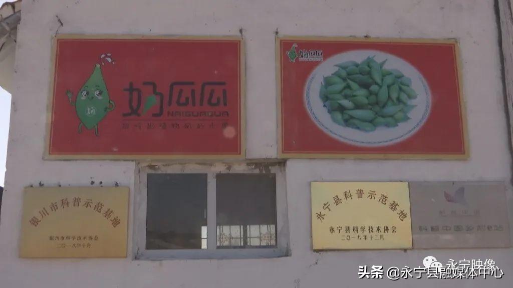 瓜果种植图片_瓜瓜种植致富果_瓜果种植技术