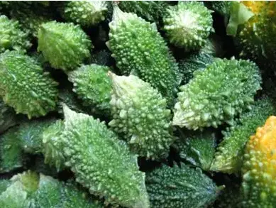 瓜果的种植时间和结果时间_瓜瓜种植致富果_种植瓜果需要什么条件