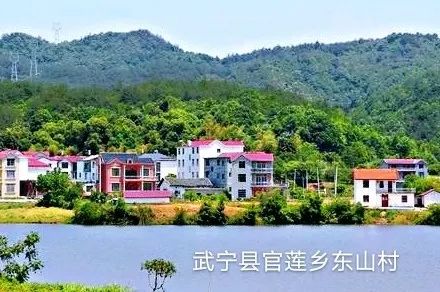 水母赚钱_水母养殖加盟_致富经水母