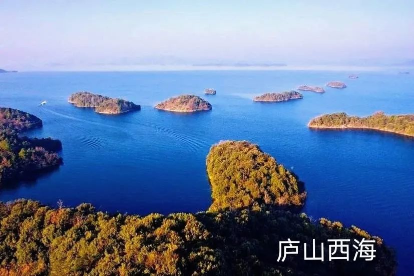 水母养殖加盟_水母赚钱_致富经水母