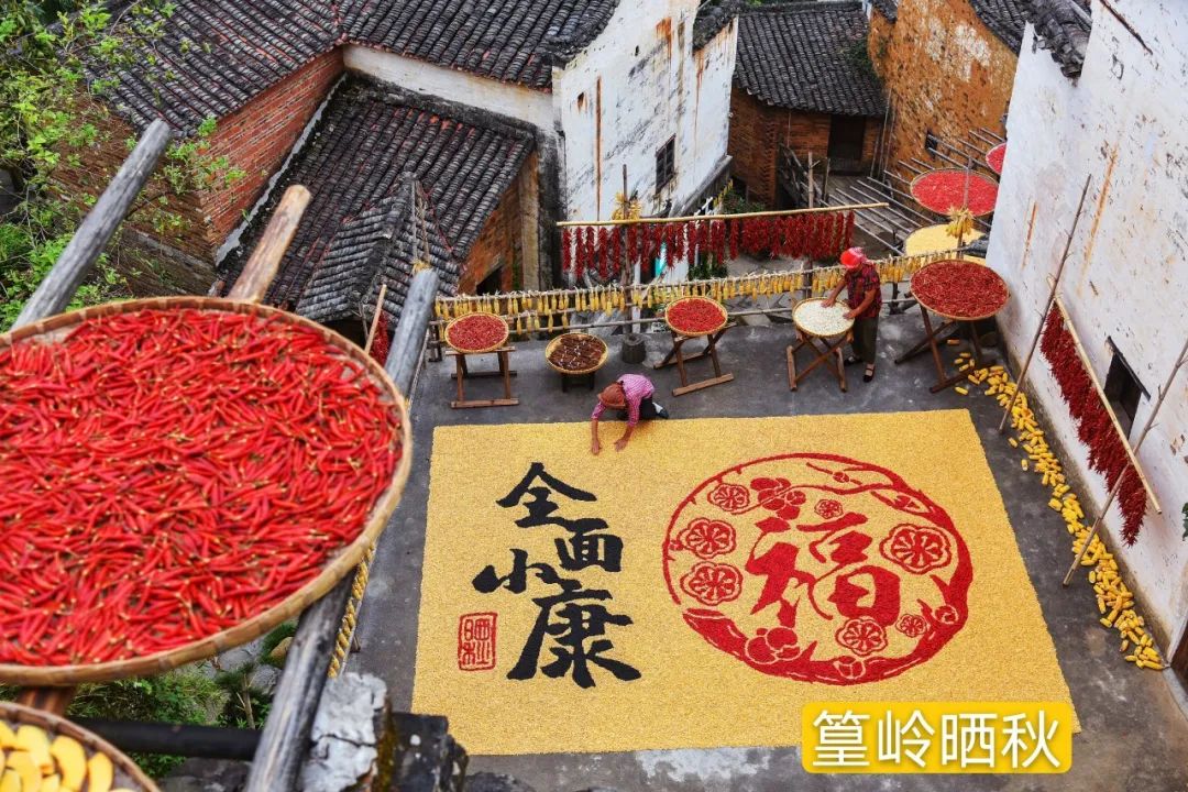 水母养殖加盟_水母赚钱_致富经水母