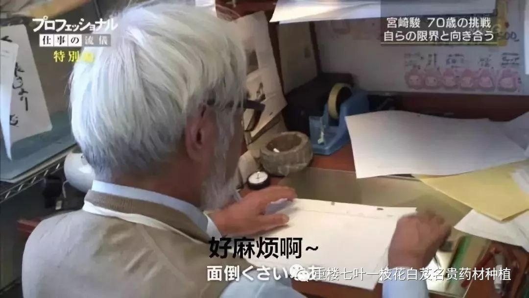 致富经重楼种植视频_种植重楼致富经视频_种植重楼技术