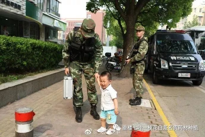 种植重楼技术_种植重楼致富经视频_致富经重楼种植视频