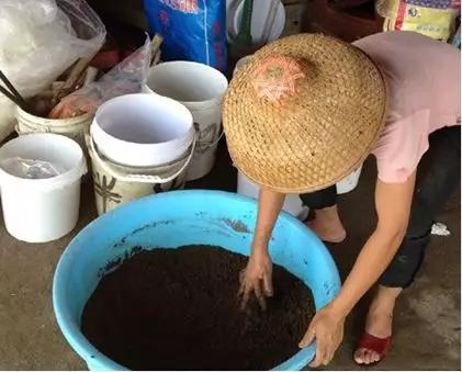 养殖对虾技术视频_养殖对虾方法技术要求_对虾的养殖方法技术