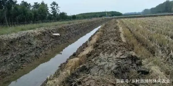 养殖泥鳅技术哪里最好_养殖泥鳅技术视频_养殖泥鳅好技术有哪些