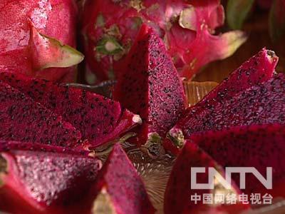 [致富经]奇花异果带来的财富(20110816)