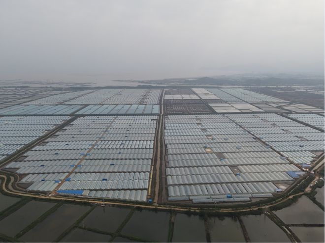 明虾的养殖_明虾养殖技术百度百科_明虾养殖技术视频