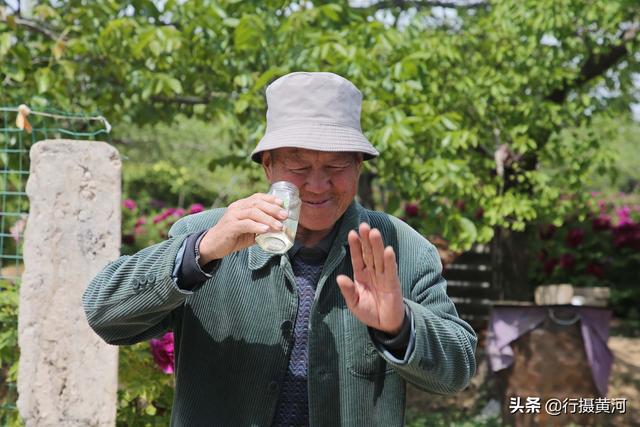 绛县牡丹种植致富_牡丹种植成本_牡丹种植前景