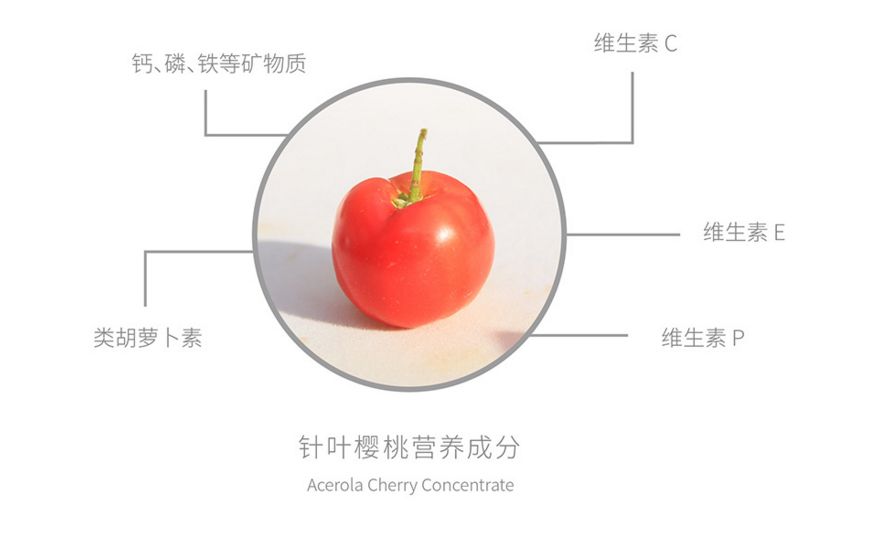 CCTV最新樱桃种植品种技术_樱桃种植专家_樱桃种植条件和区域