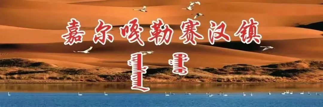 【农牧民微课堂】肉鹅养殖技术大全 科学高效养鹅