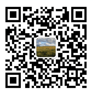 冬季鹅怎么养_冬季养鹅技术视频_冬季养殖肉鹅技术