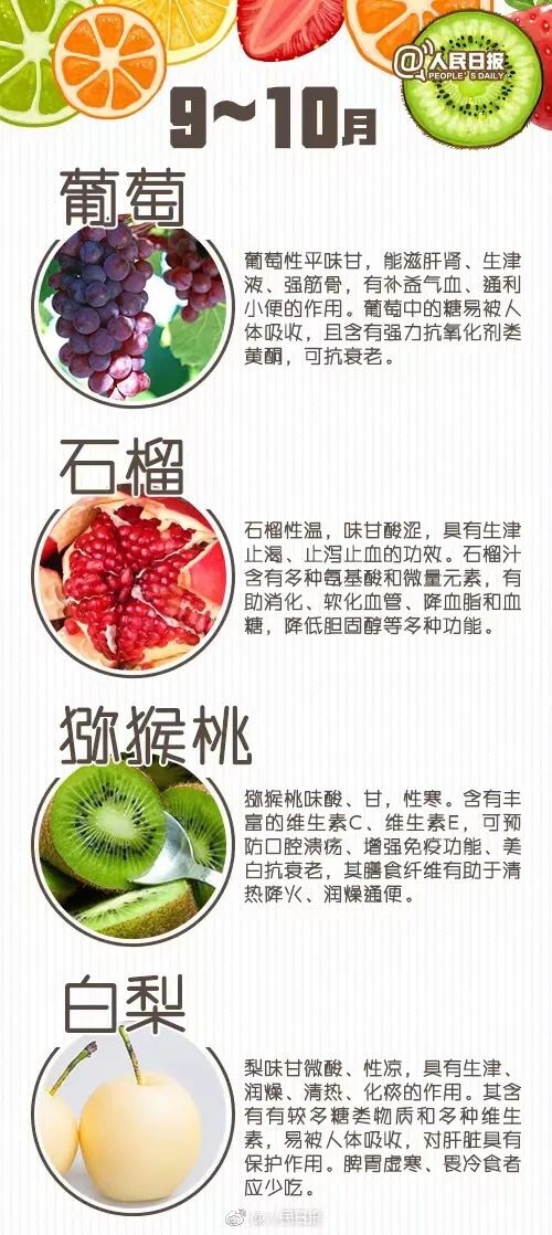 樱桃种植的前景怎么样_樱桃的种植条件_CCTV最新樱桃种植品种技术
