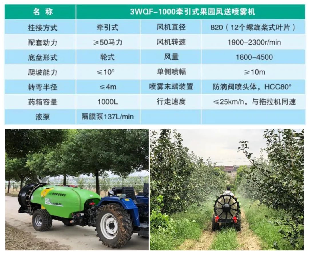 冬季鹅怎么养_冬季养鹅注意事项_冬季养殖肉鹅技术