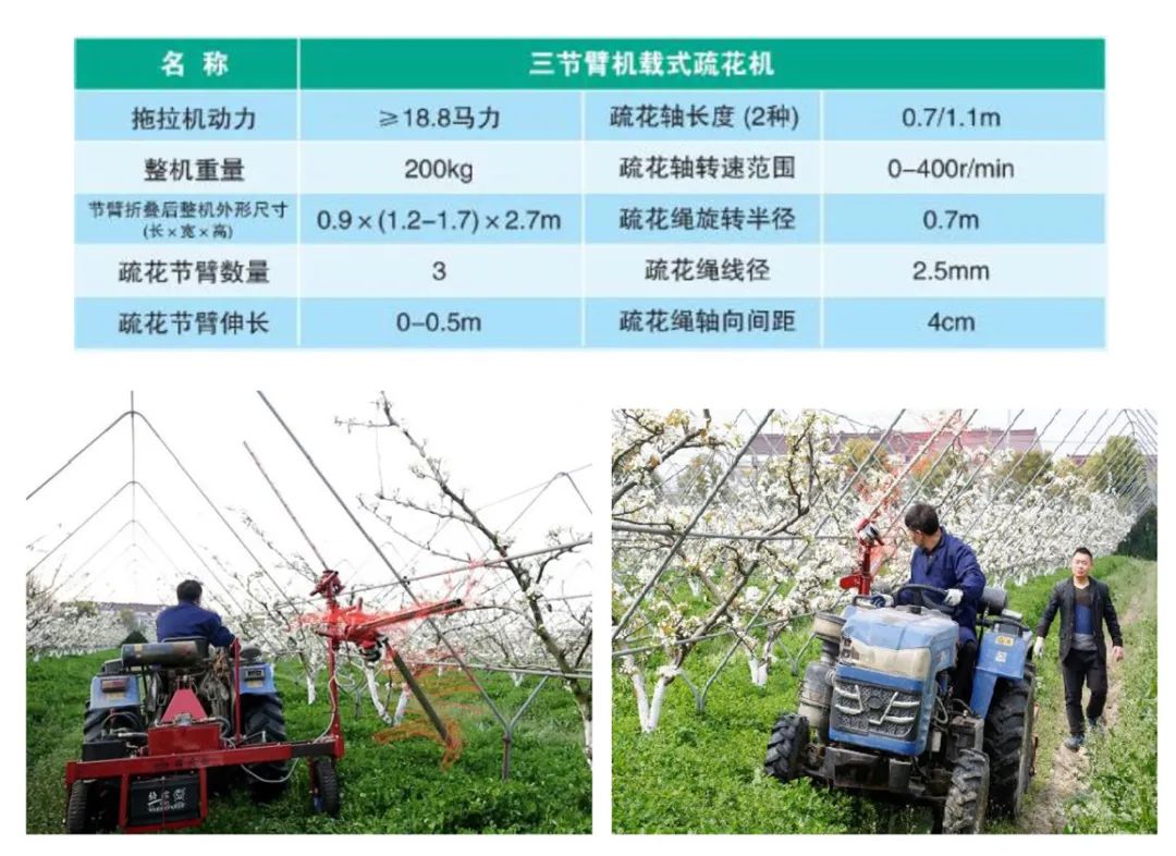 冬季鹅怎么养_冬季养鹅注意事项_冬季养殖肉鹅技术