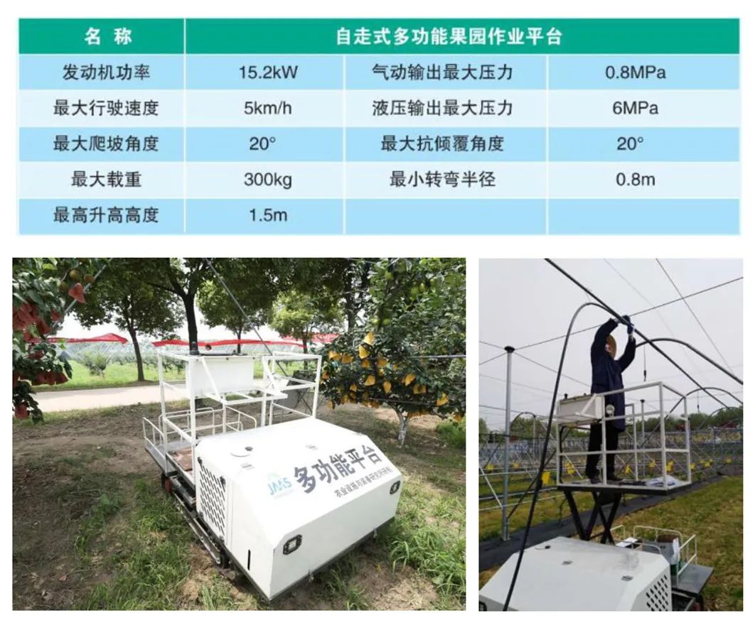冬季养鹅注意事项_冬季鹅怎么养_冬季养殖肉鹅技术