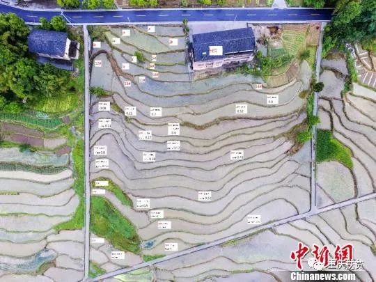 致富养殖稻谷图片_农村稻田养殖什么赚钱_稻谷养殖致富经