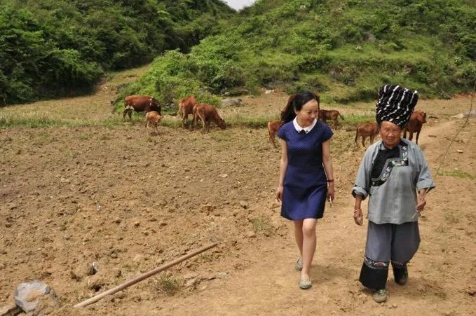 湘西黄牛要养几年出栏_湘西黄牛养殖技术_农广天地湘西黄牛养殖技术视频