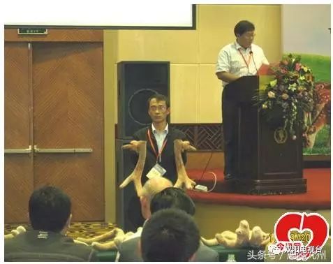 养蛙基地视频_农广天地蛙养殖技术_农广天地石蛙养殖视频