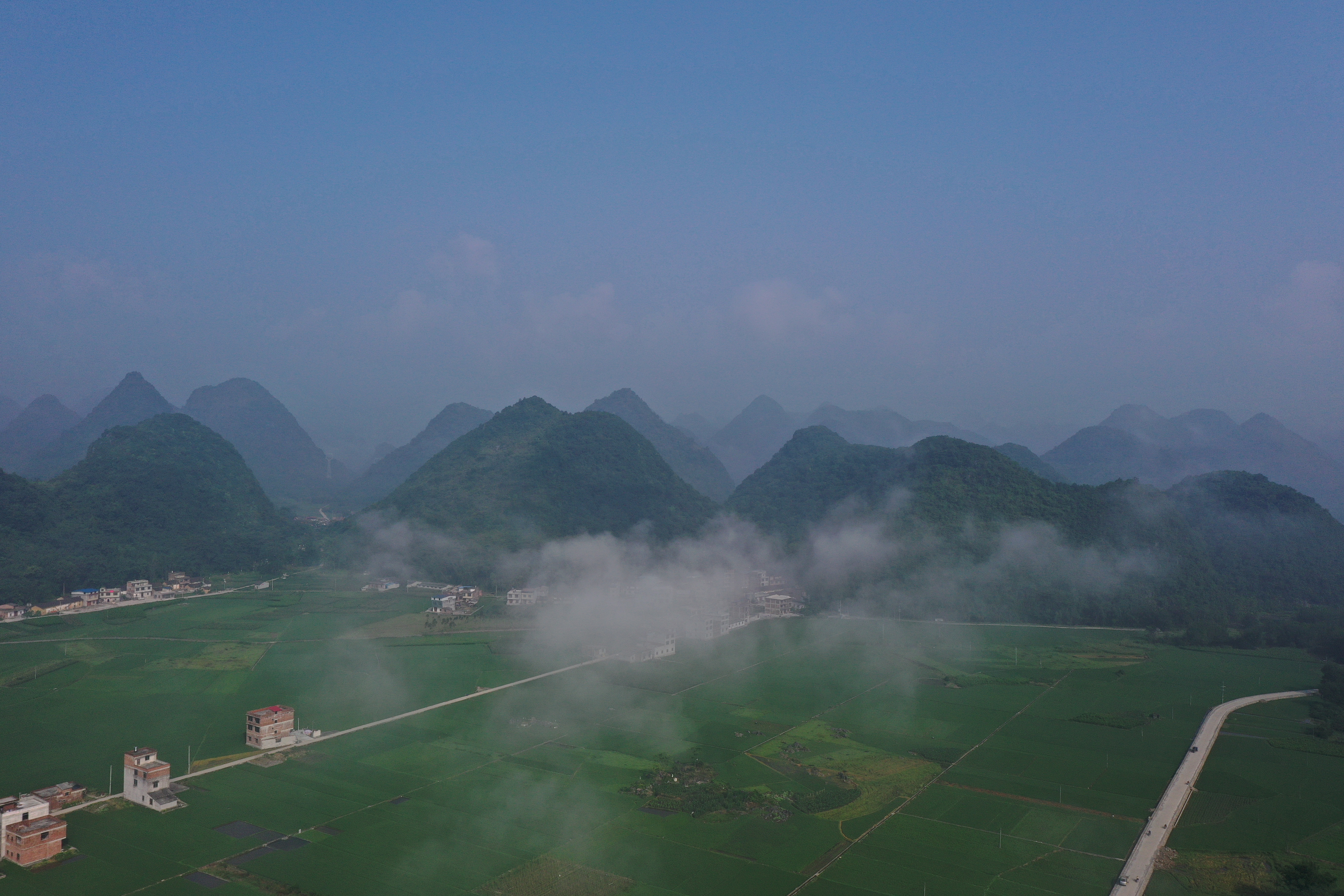 致富养殖土鸭图片_致富养殖土鸭视频_土鸭养殖致富