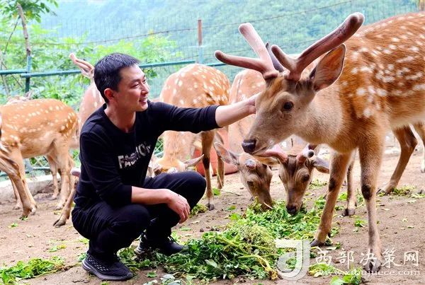 致富助力养殖句子怎么写_致富养殖语_助力养殖致富句子