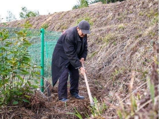 农民种植致富项目_农民工种植致富的故事_致富种植农民工故事简短