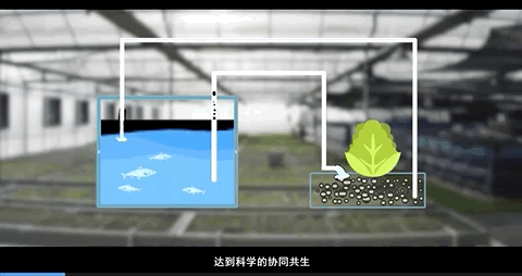 农民工致富门路_农民工种植致富的故事_致富种植农民工故事视频