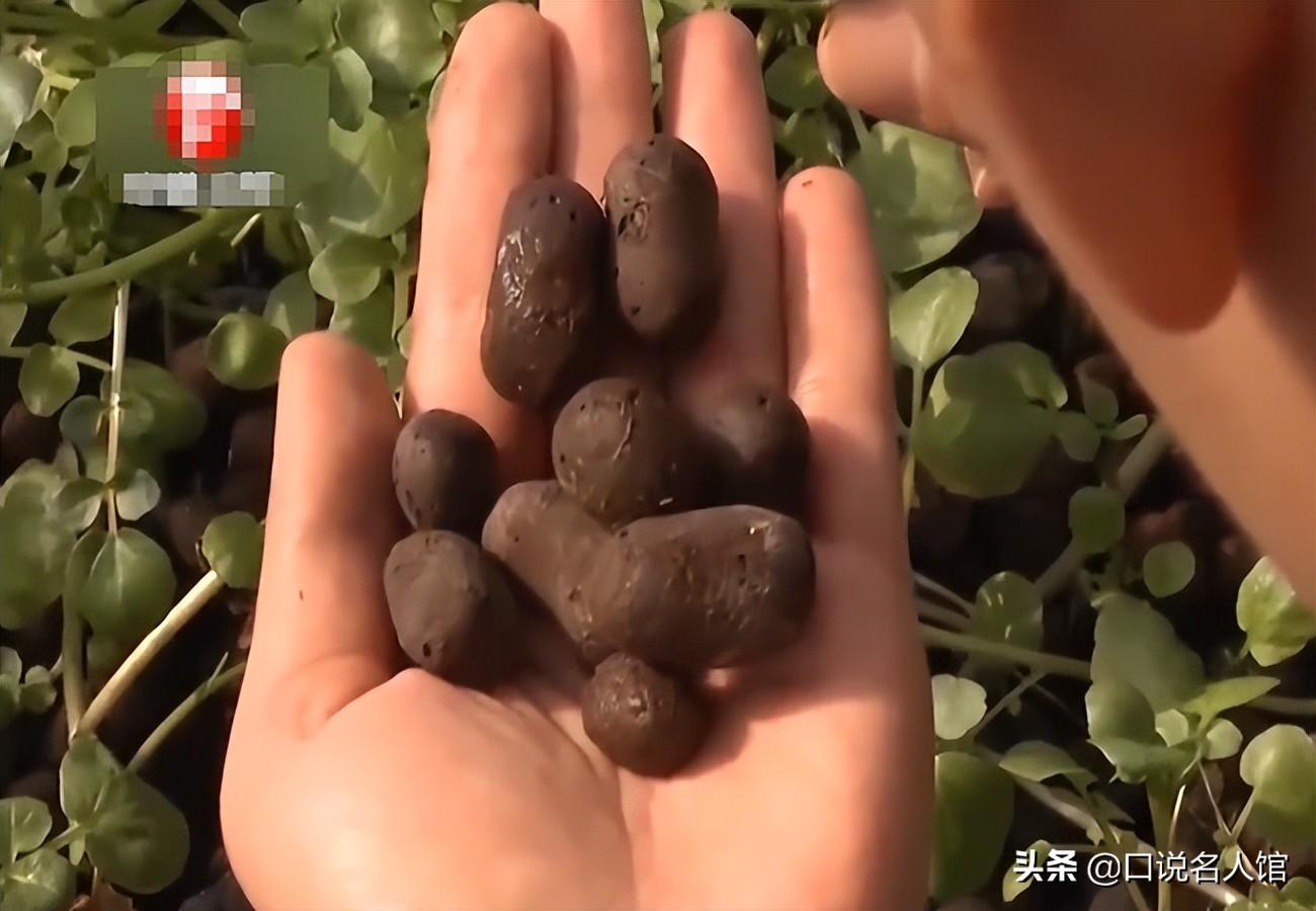 农民工种植致富的故事_致富种植农民工故事视频_农民工致富门路