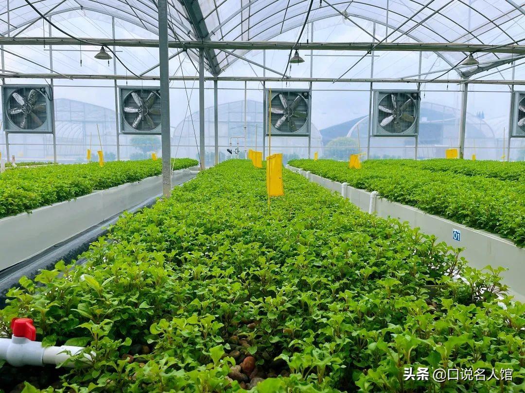 农民工种植致富的故事_致富种植农民工故事视频_农民工致富门路