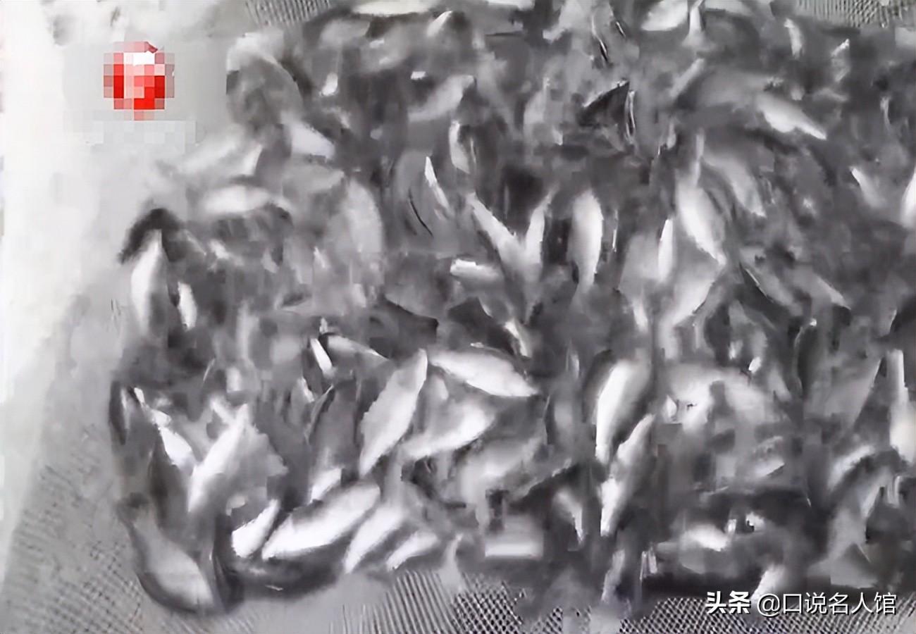 致富种植农民工故事视频_农民工致富门路_农民工种植致富的故事