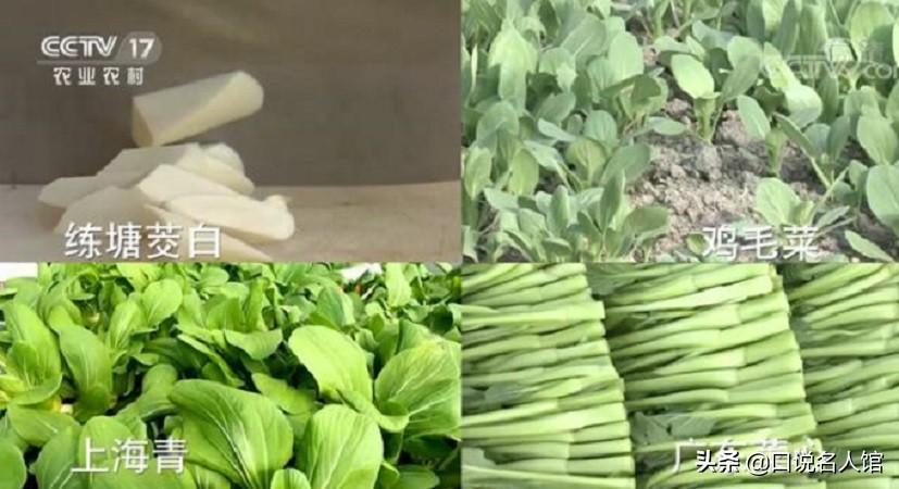 农民工种植致富的故事_农民工致富门路_致富种植农民工故事视频