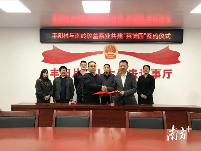 致富茶叶种植农民有补贴吗_农民种植茶叶致富_茶叶致富经