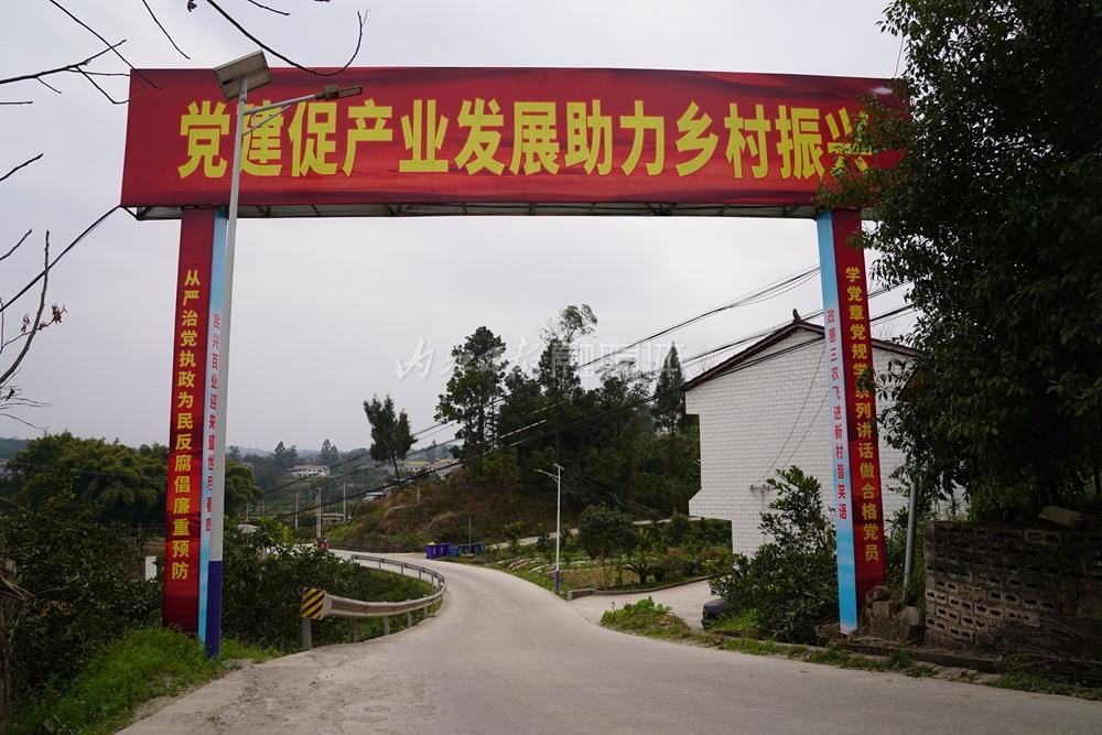 致富养殖土鸭怎么样_致富养殖土鸭视频_土鸭养殖致富