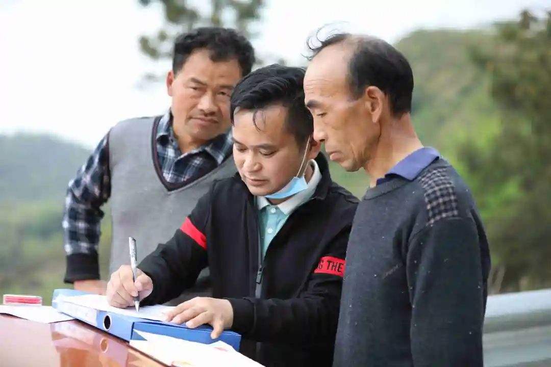 折耳根高产种植新技术_致富经折耳根_折耳根赚钱吗