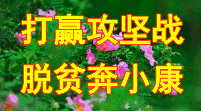 致富经折耳根_折耳根赚钱吗_折耳根高产种植新技术